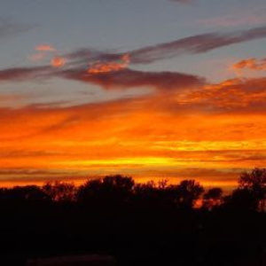 Meet your Posher, Amelia